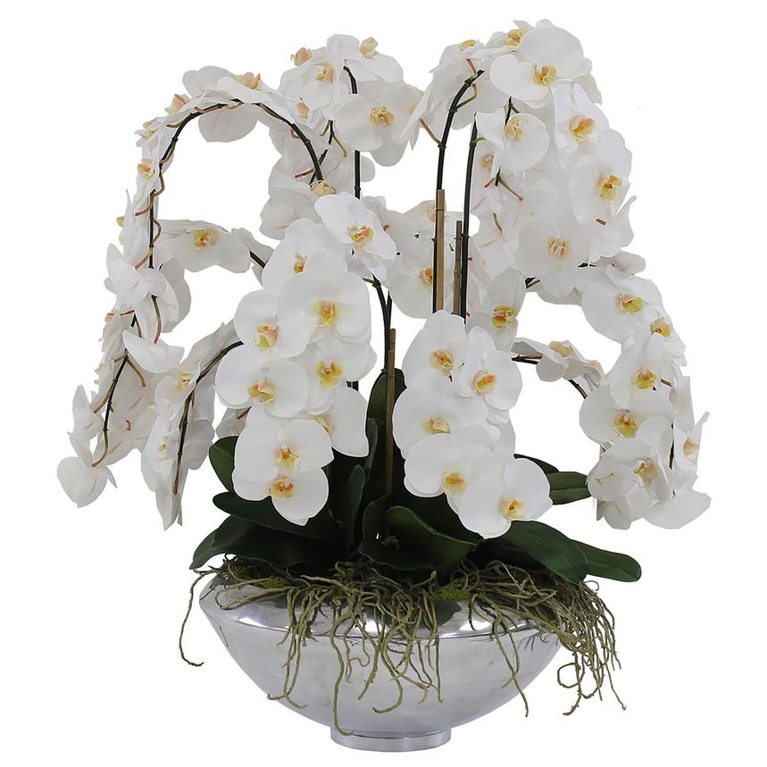 Jericho White Flower Arrangement  main image, 1 of 4 images.