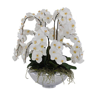 Jericho White Flower Arrangement