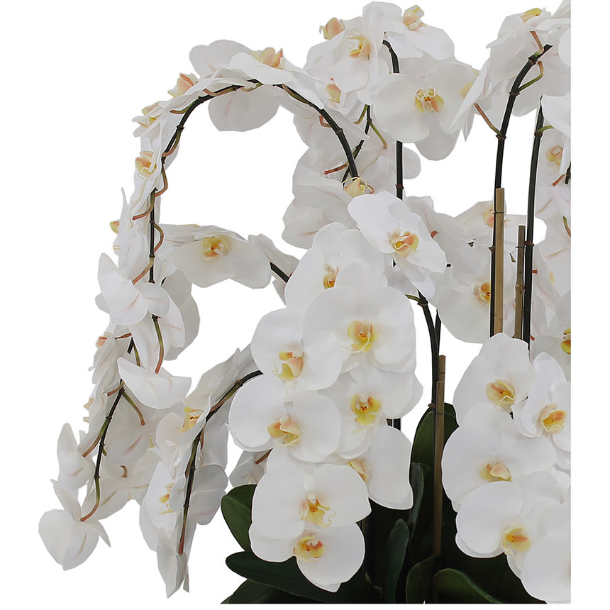 Jericho White Flower Arrangement  alternate image, 3 of 4 images.