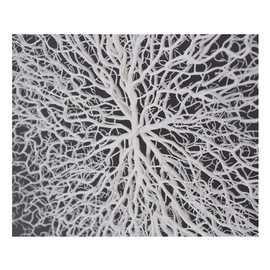 Clear Sea Fan Shadow Box  alternate image, 6 of 7 images.