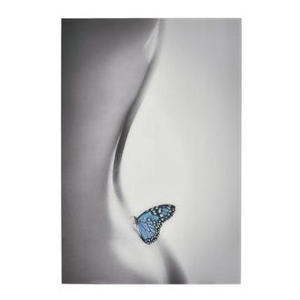 Farfalla Acrylic Wall Art