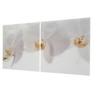 Orchidee White Set of 2 Acrylic Wall Art  alternate image, 2 of 4 images.