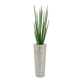 Bulles Planter