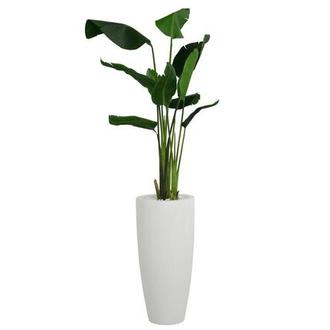 Sloane White Planter