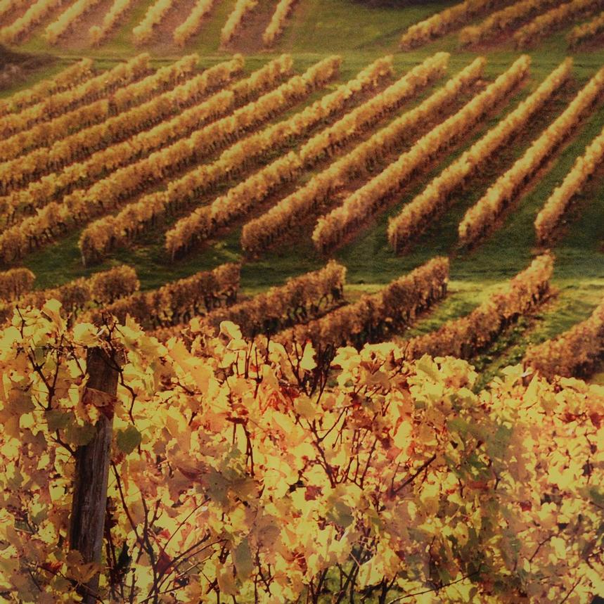 Napa Valley Set of 3 Wall Art El Dorado Furniture