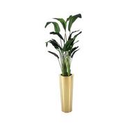 Oro Puro Planter  main image, 1 of 4 images.