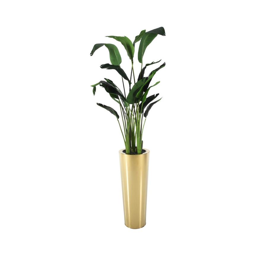 large potted plants png