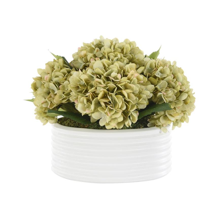 Limelight Flower Arrangement  main image, 1 of 3 images.