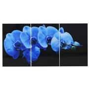 Blue Orchid Set of 3 Acrylic Wall Art  main image, 1 of 2 images.