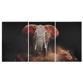 Elephant Set of 3 Acrylic Wall Art