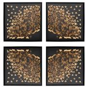 Metamorphosis Shadow Box Set of 4  main image, 1 of 5 images.