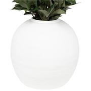 Apphia Planter  alternate image, 3 of 4 images.