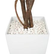 Maacah Planter  alternate image, 5 of 6 images.