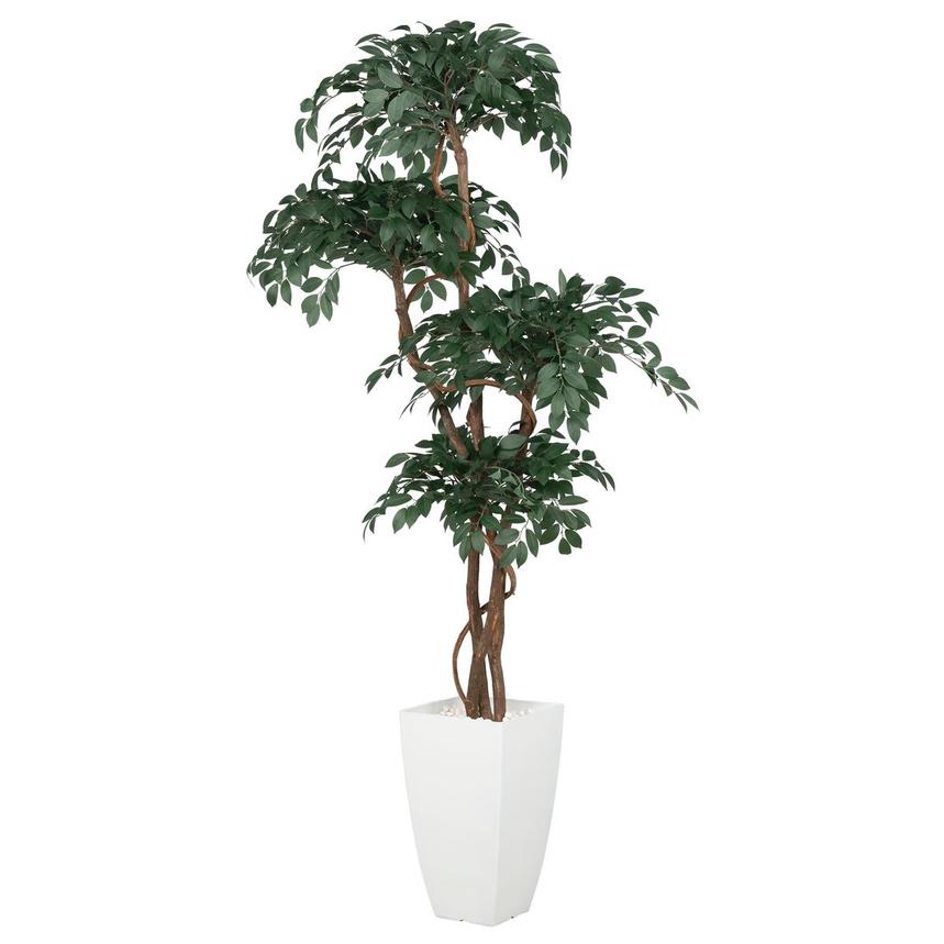 Maacah Planter  main image, 1 of 6 images.