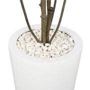 Neriah Planter  alternate image, 4 of 5 images.