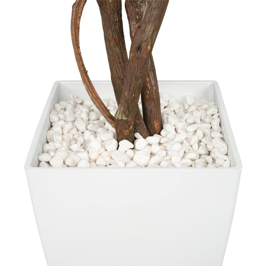 Maacah Planter alternate image, 5 of 6 images.