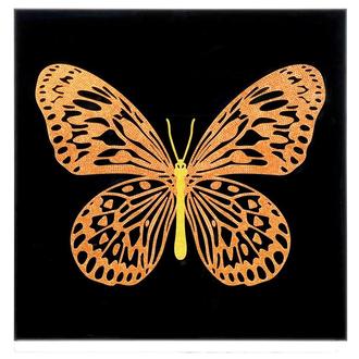 Monarch Grace Acrylic Wall Art