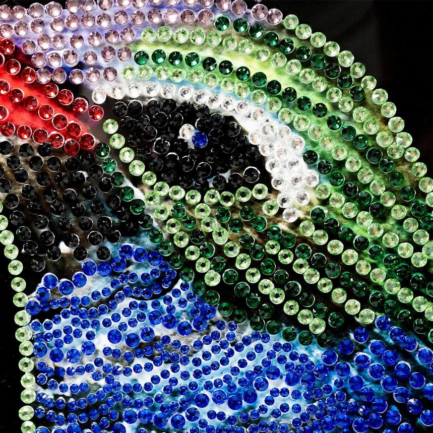 Jewel of Flight Acrylic Wall Art  alternate image, 5 of 5 images.