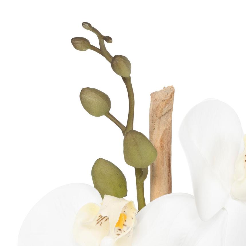 Agatha Plant  alternate image, 6 of 6 images.