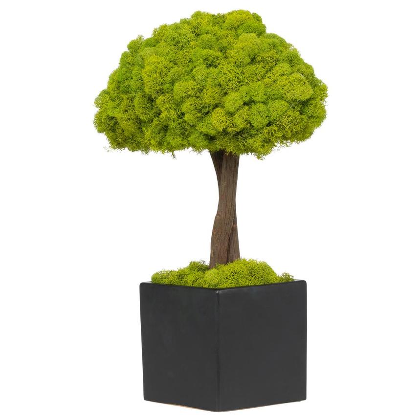 Bazily Plants Decor  main image, 1 of 6 images.