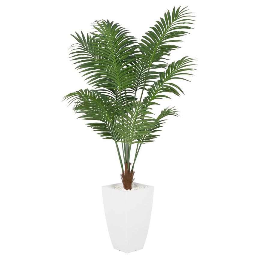 Macha Plant  main image, 1 of 5 images.