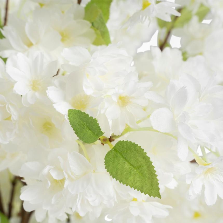 Blossoms Plants Decor  alternate image, 4 of 4 images.