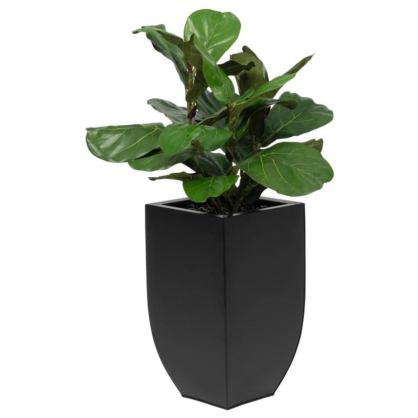 Wumple Plant  main image, 1 of 5 images.