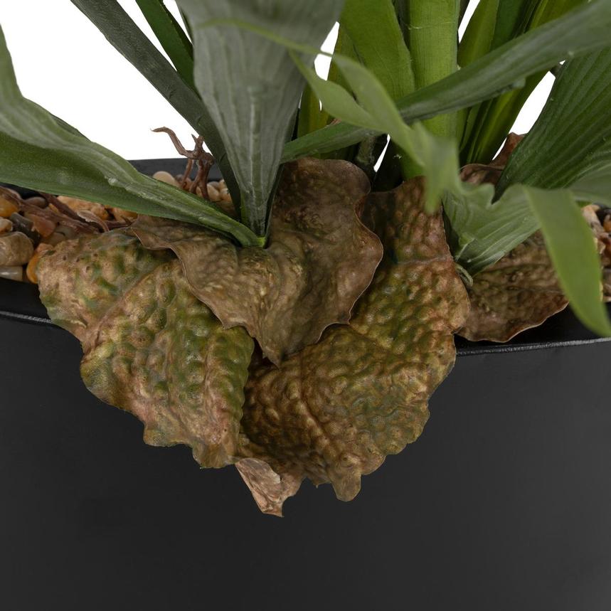 Savannah Noir Flower Arrangement  alternate image, 9 of 14 images.