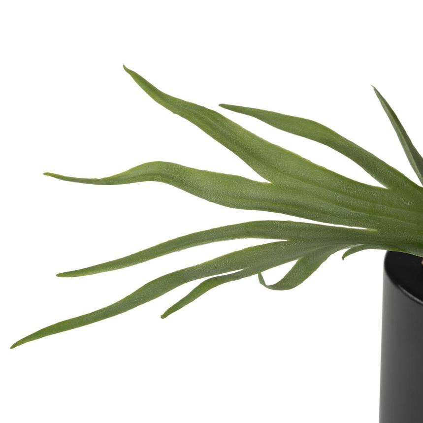 Savannah Noir Flower Arrangement  alternate image, 14 of 14 images.