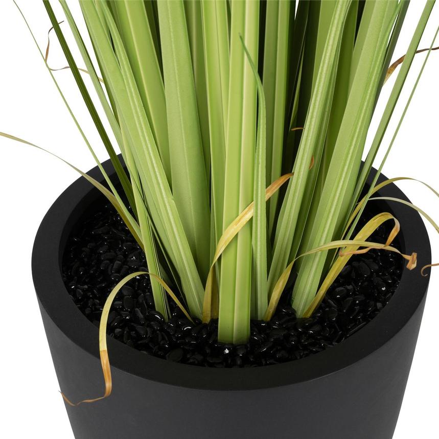 Bonaroo Planter alternate image, 4 of 8 images.