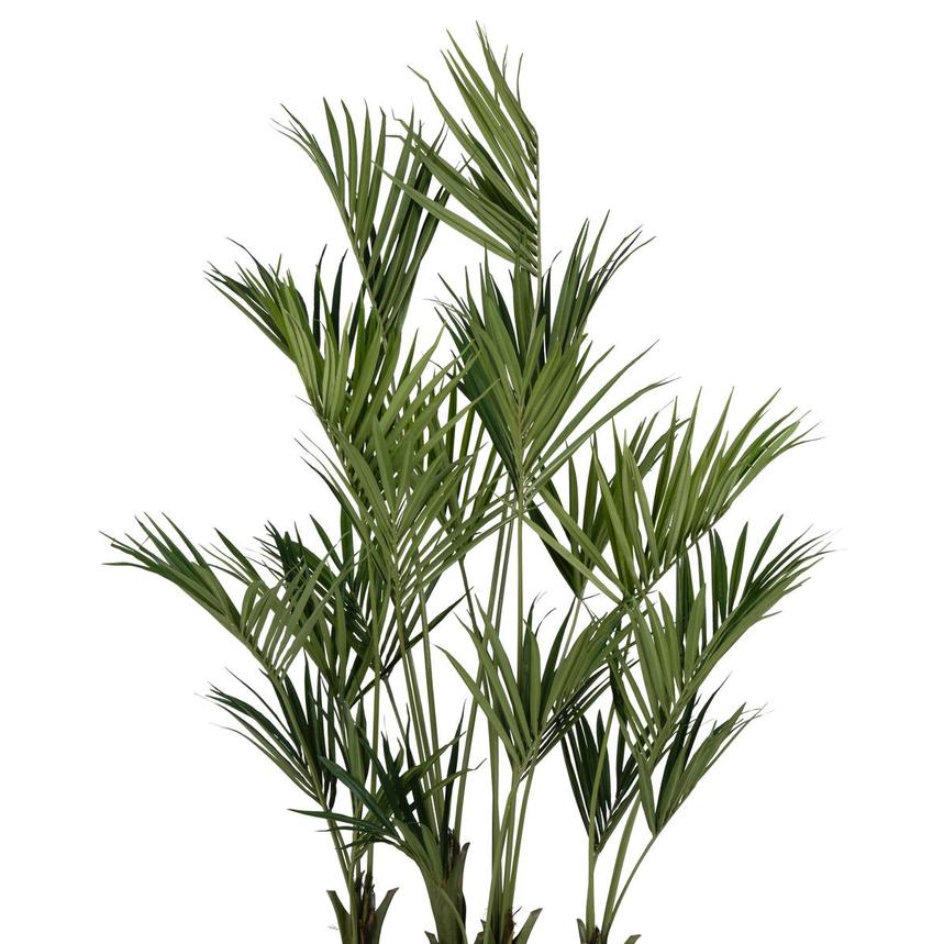 Portico Planter  alternate image, 9 of 10 images.