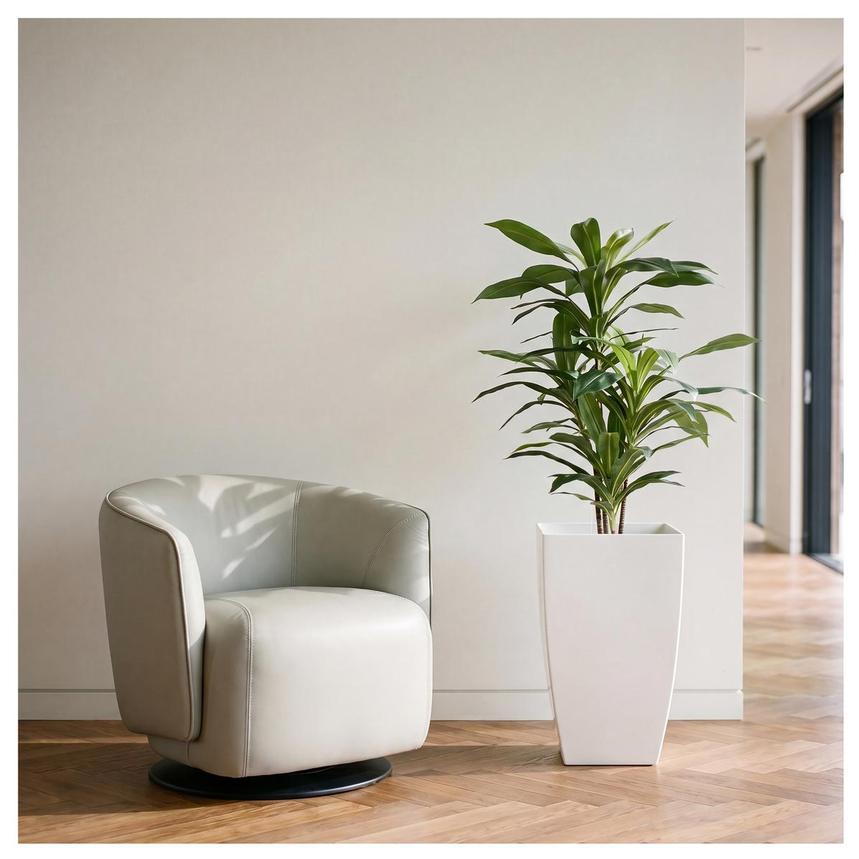 Idalia Planter alternate image, 2 of 6 images.