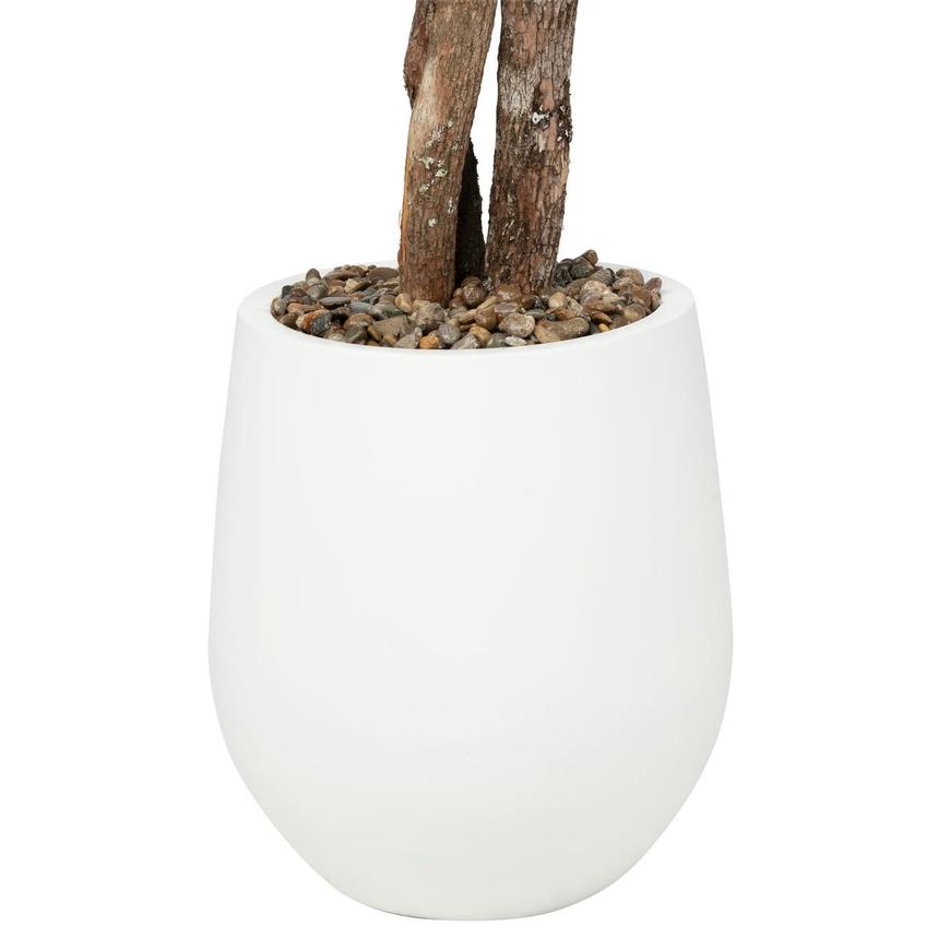 Ligia Planter alternate image, 7 of 9 images.